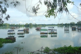 Bung Binh Thien in Ang Giang